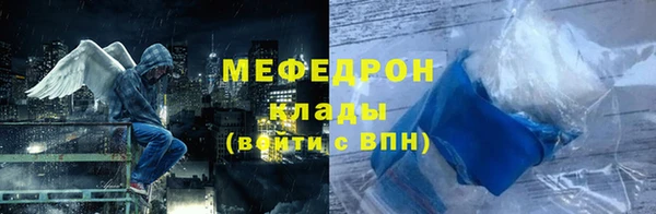 ешки Инта