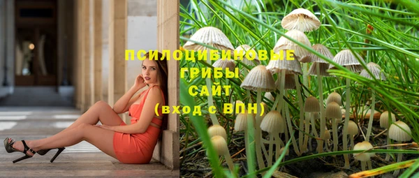 a pvp Инсар