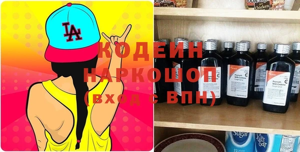ешки Инта