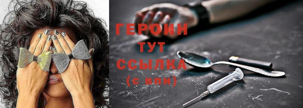 ешки Инта